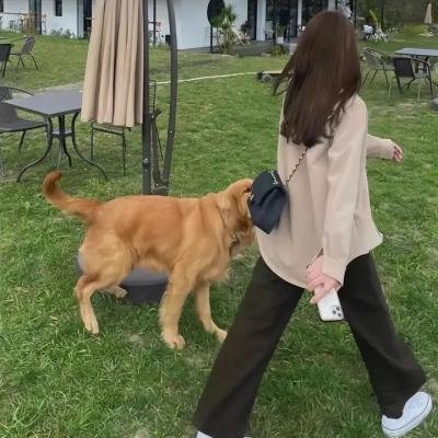 一见又倾心